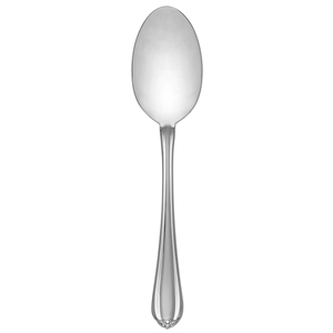 Gorham Melon Bud Frosted Serving Spoon