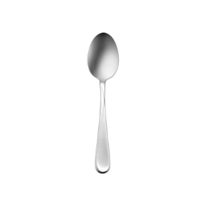 Oneida Flight Dinner Spoon