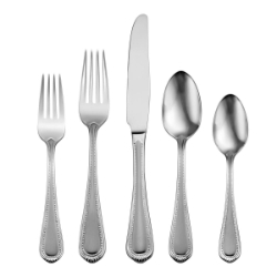 Oneida Satin Countess 5 Piece Place Setting 